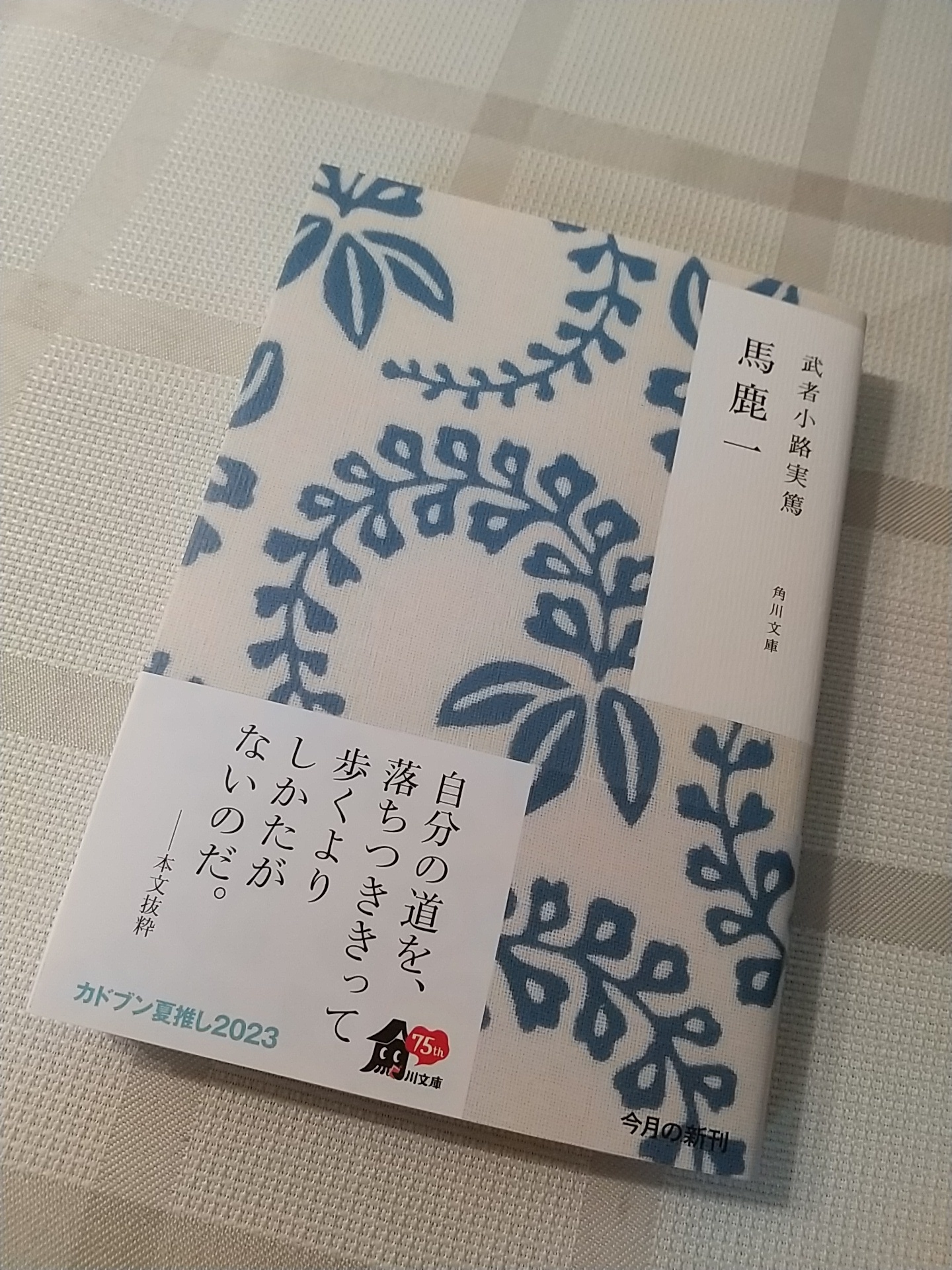 現代小説では見られない、善意に溢れた作品世界】「馬鹿一」武者小路